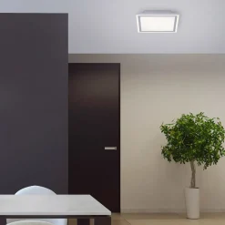 LED plafondlamp Edging, tunable white, 31x31 cm