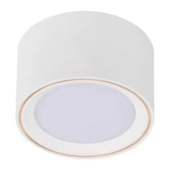 LED plafondlamp Fallon, hoogte 6 cm