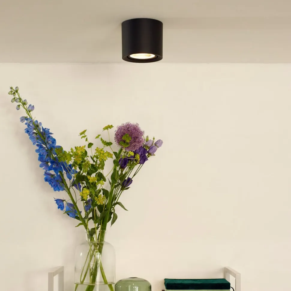 LED plafondlamp Fedler van Dime naar Warm, zwart