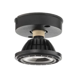 LED plafondlamp Fedler van Dime naar Warm, zwart