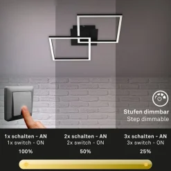 LED plafondlamp Frame 2-lamps Switch Dim zwart