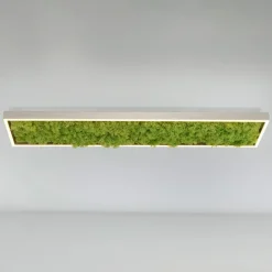 LED plafondlamp Green Knut met echt mos