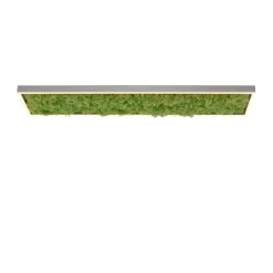 LED plafondlamp Green Knut met echt mos