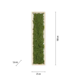 LED plafondlamp Green Knut met echt mos