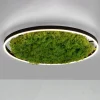 LED plafondlamp Green Ritus, mos dimbaar Ø58,5cm