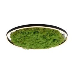 LED plafondlamp Green Ritus, mos dimbaar Ø58,5cm