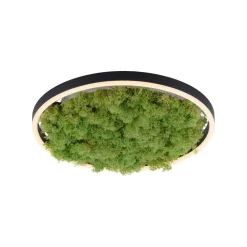 LED plafondlamp Green Ritus, mos dimbaar Ø39,3cm