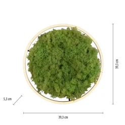 LED plafondlamp Green Ritus, mos dimbaar Ø39,3cm