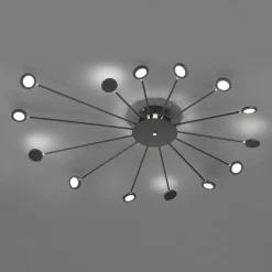 LED plafondlamp Peacock, 15-lamps, zwart