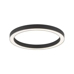 LED plafondlamp PURE Lines, Ø 50 cm, antraciet, CCT, afstandsbediening