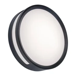 LED plafondlamp Rola, buiten, antraciet, Ø 18 cm