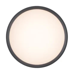 LED plafondlamp Rola, buiten, antraciet, Ø 18 cm