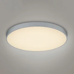 LED plafondlamp Waco, CCT, Ø 75 cm, titanium