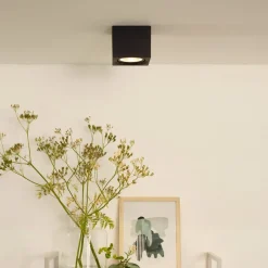 LED plafondspot Fedler hoekig zwart