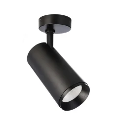 LED plafondspot Lucea, verstelbaar, 30 W zwart