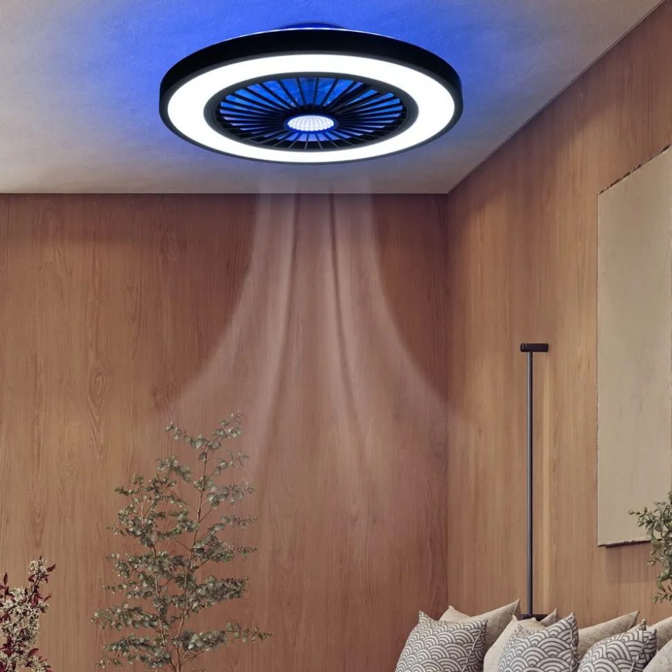 LED plafondventilator met licht Arioso, stil, Ø 54 cm, CCT