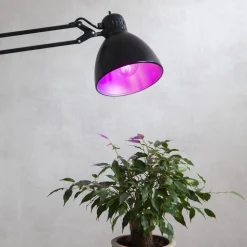 LED plantenlamp bloei, lamp A60, E27, 6,5 W rood