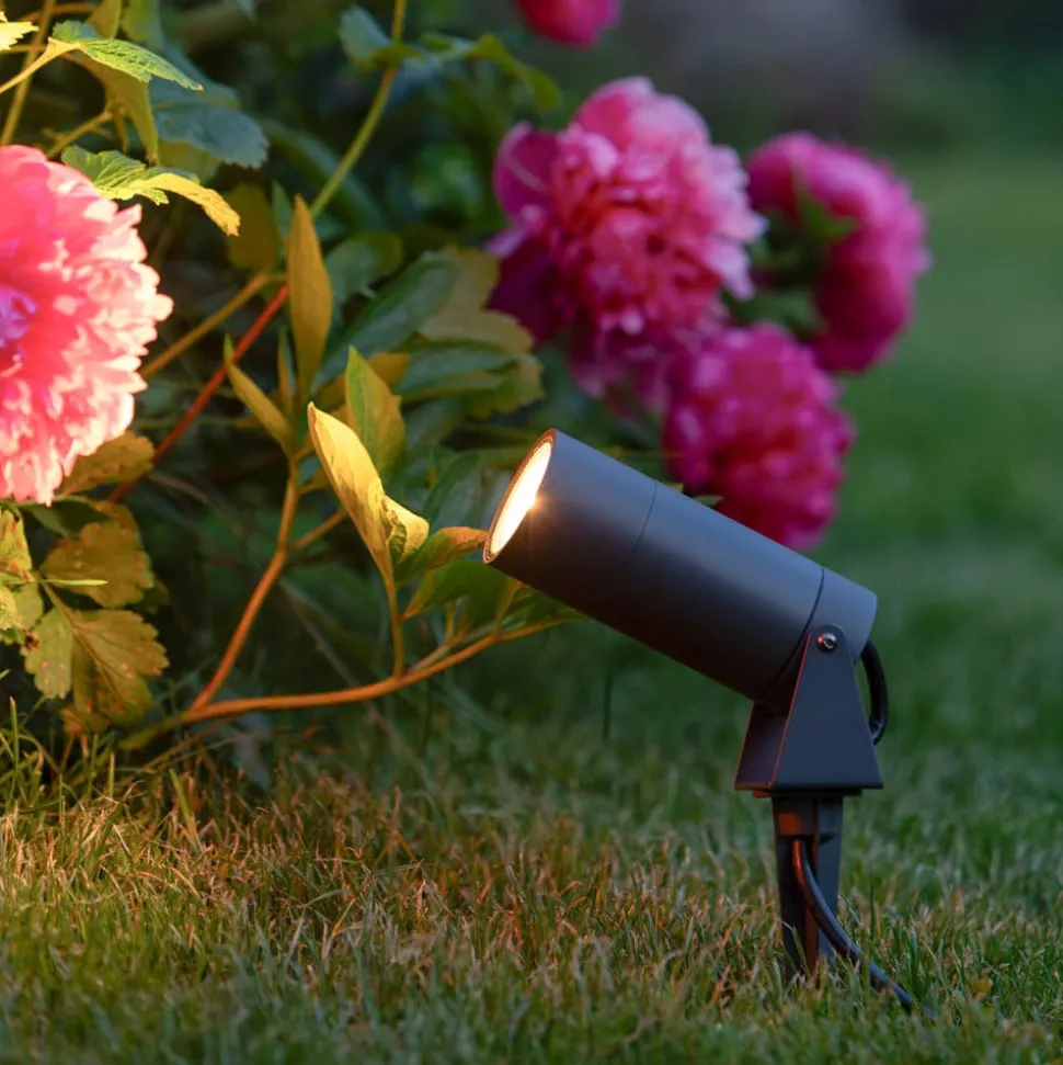 LED prikspot 5131, zwart, aluminium, glas, Schuko stekker