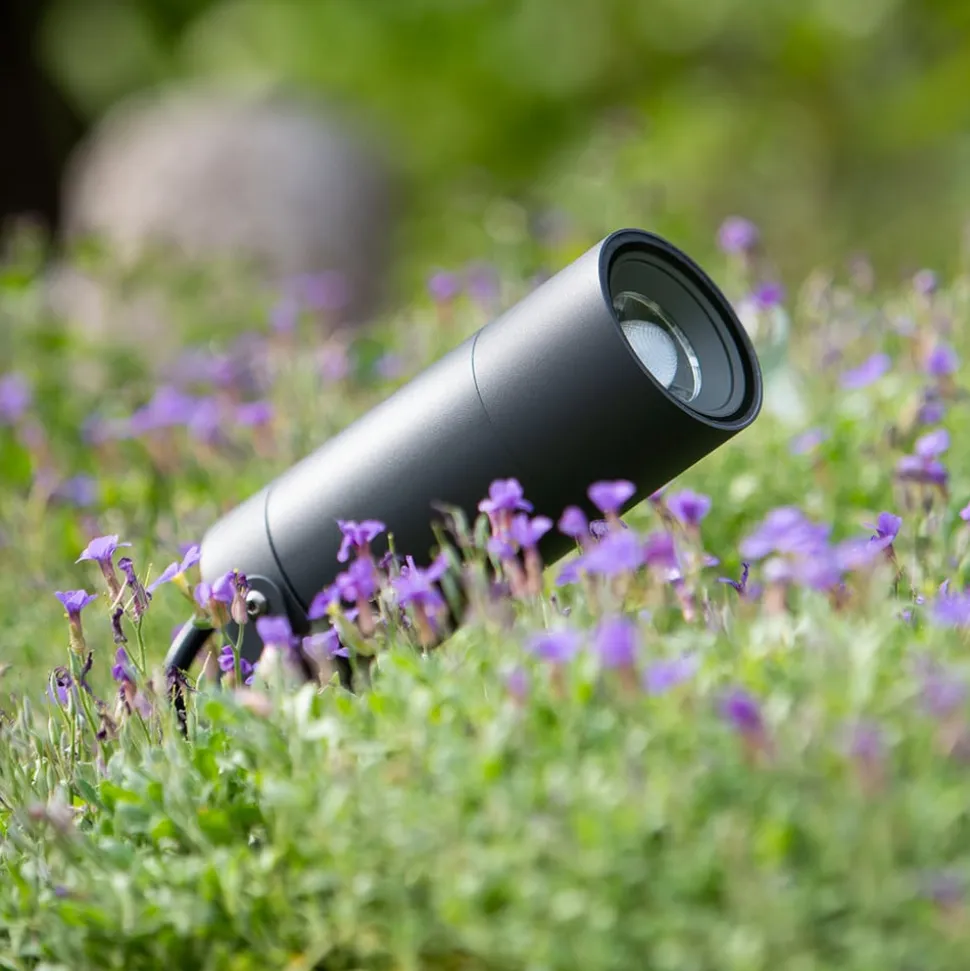 LED prikspot 5131, zwart, aluminium, glas, Schuko stekker