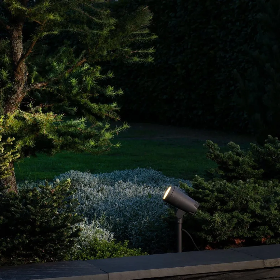 LED prikspot Andria 12 V, 3 W