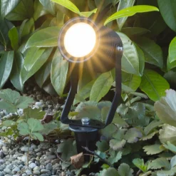 LED prikspot Pasas zwenkbaar