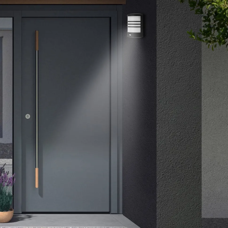 LED sensor buitenwandlamp Toledo zwart 4.000K