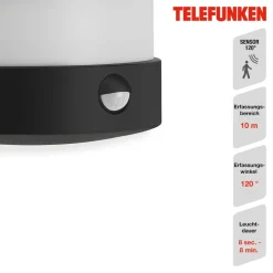 LED sensor buitenwandlamp Toledo zwart 4.000K