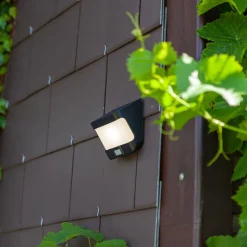 LED solarwandlamp Try met bewegingsmelder