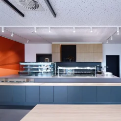 LED track spot Lucea Phase Phase 10W wit