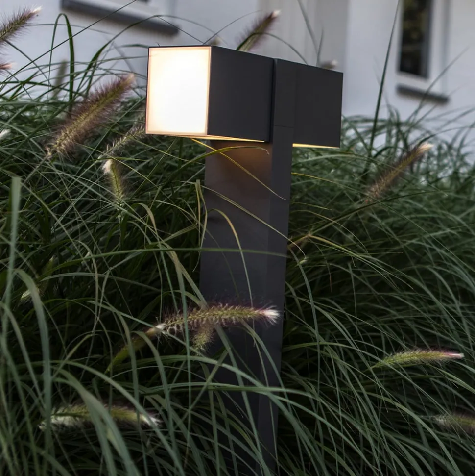 LED tuinpadverlichting Cuba, 2-lamp, antraciet