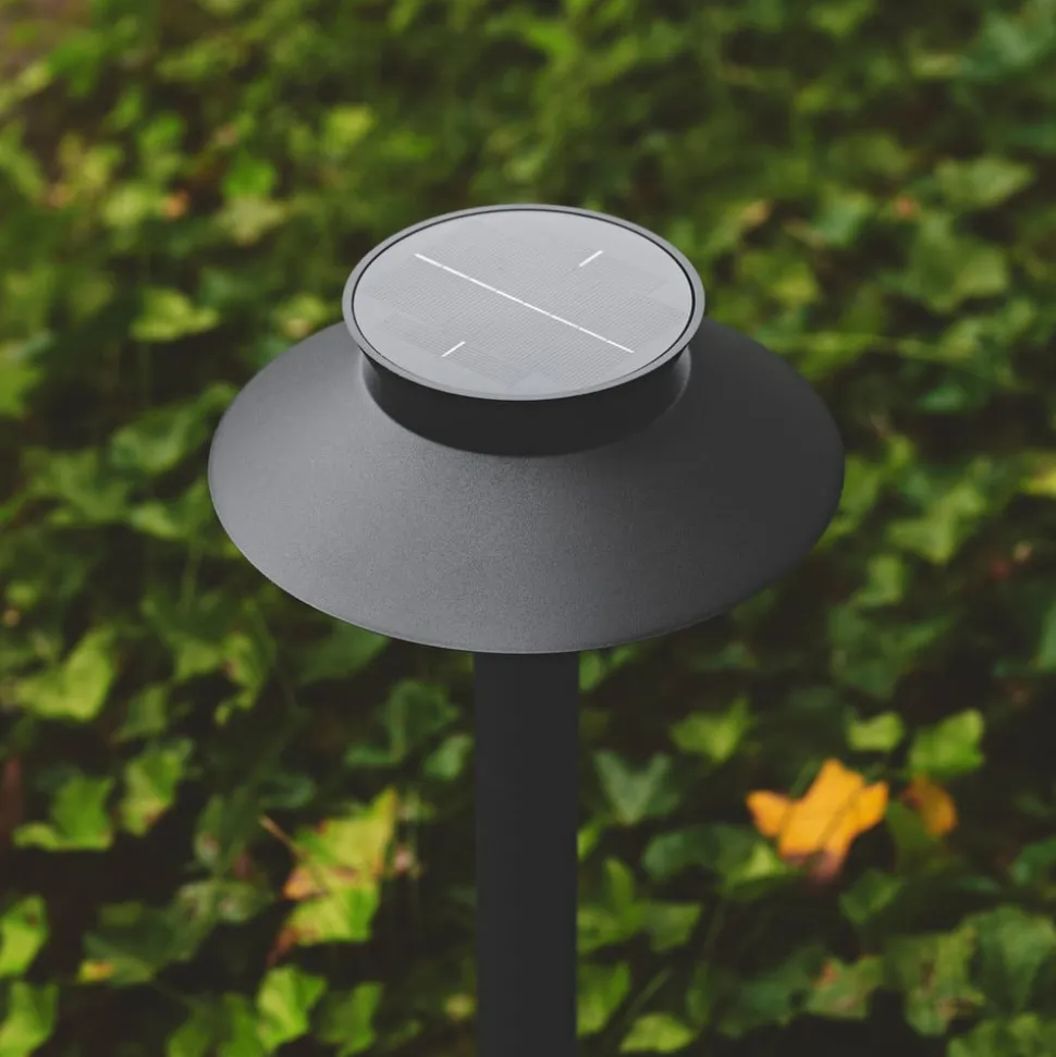 LED tuinpadverlichting Justina, bewegingsmelder, zwart