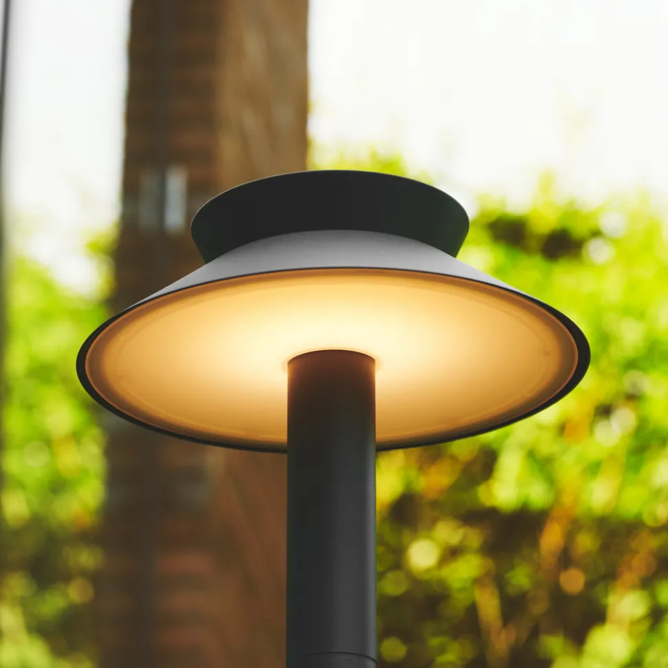 LED tuinpadverlichting Justina, bewegingsmelder, antraciet