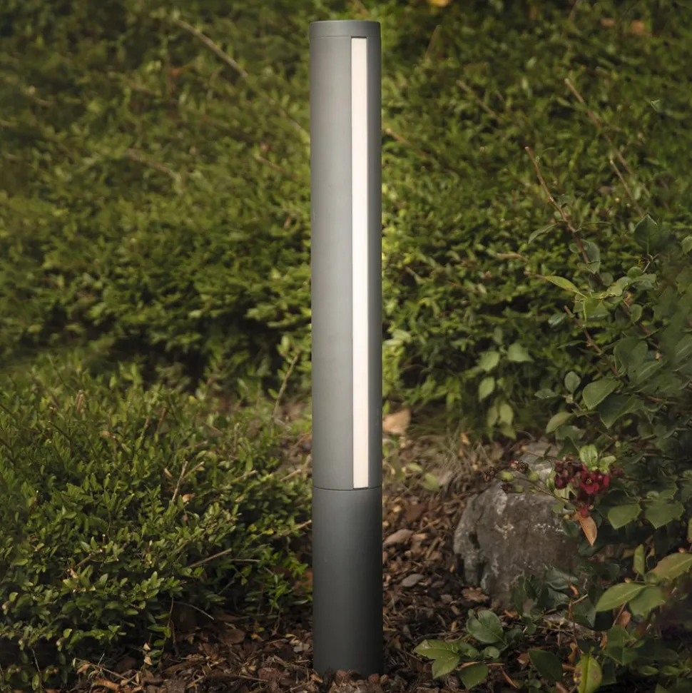 LED tuinpadverlichting Lilia, hoogte 75 cm