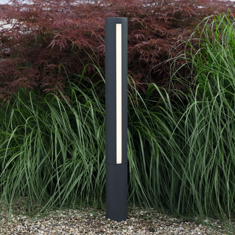 LED tuinpadverlichting Lilia, hoogte 75 cm