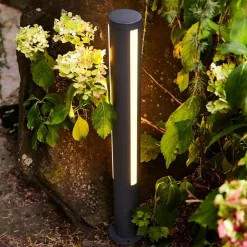 LED tuinpadverlichting Lilia, hoogte 75 cm
