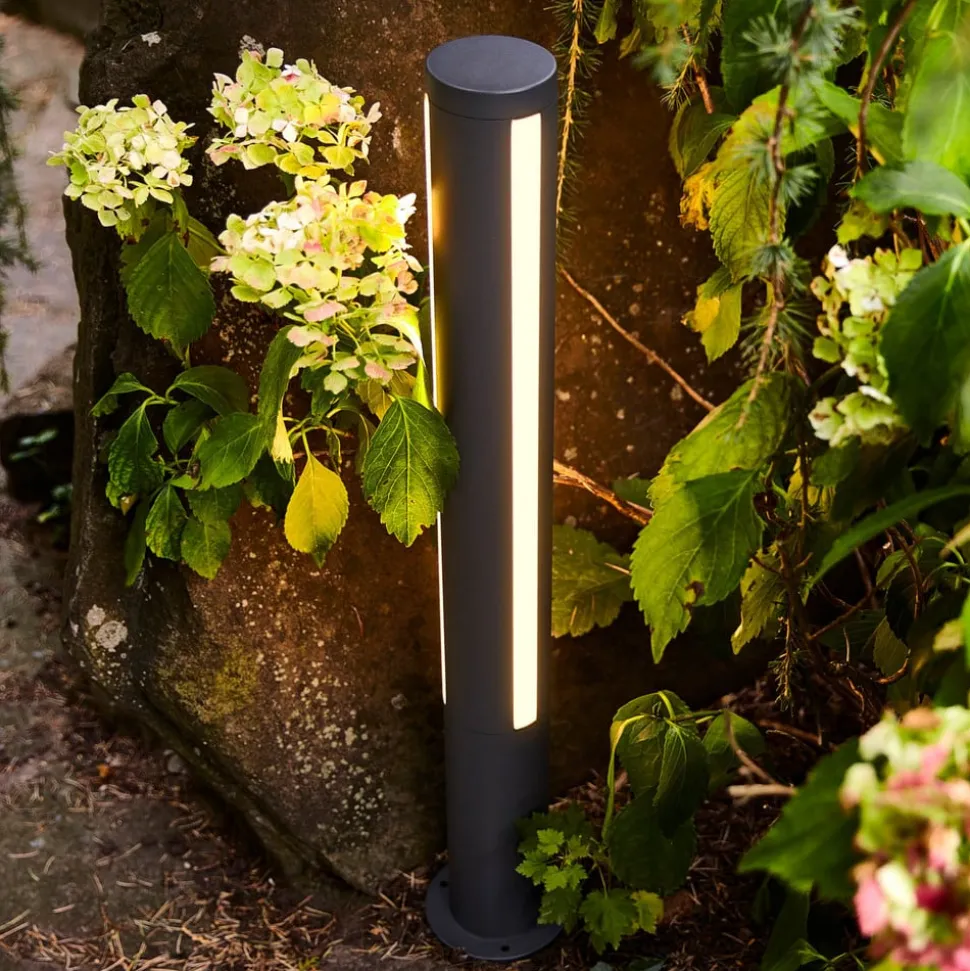 LED tuinpadverlichting Lilia, hoogte 75 cm