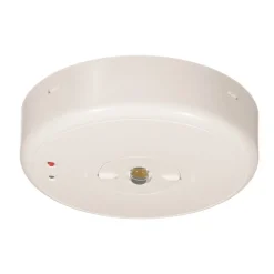 LED veiligheidslamp S-Lux standaard plafondopbouw