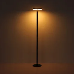 LED vloerlamp 36508, zwart, aluminium, CCT, IP54