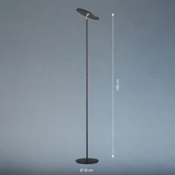 LED vloerlamp Bever, zwart, metaal, CCT, dimbaar, 180 cm