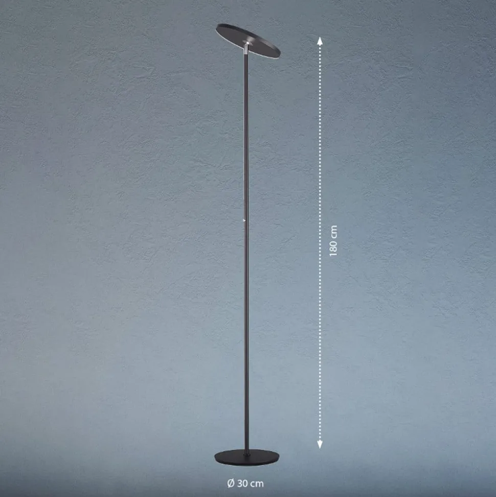 LED vloerlamp Bever, zwart, metaal, CCT, dimbaar, 180 cm