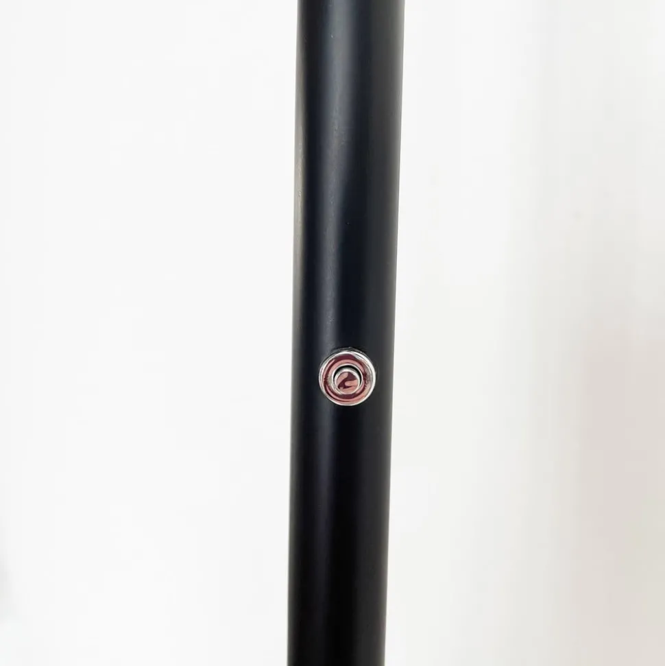 LED vloerlamp Bever, zwart, metaal, CCT, dimbaar, 180 cm