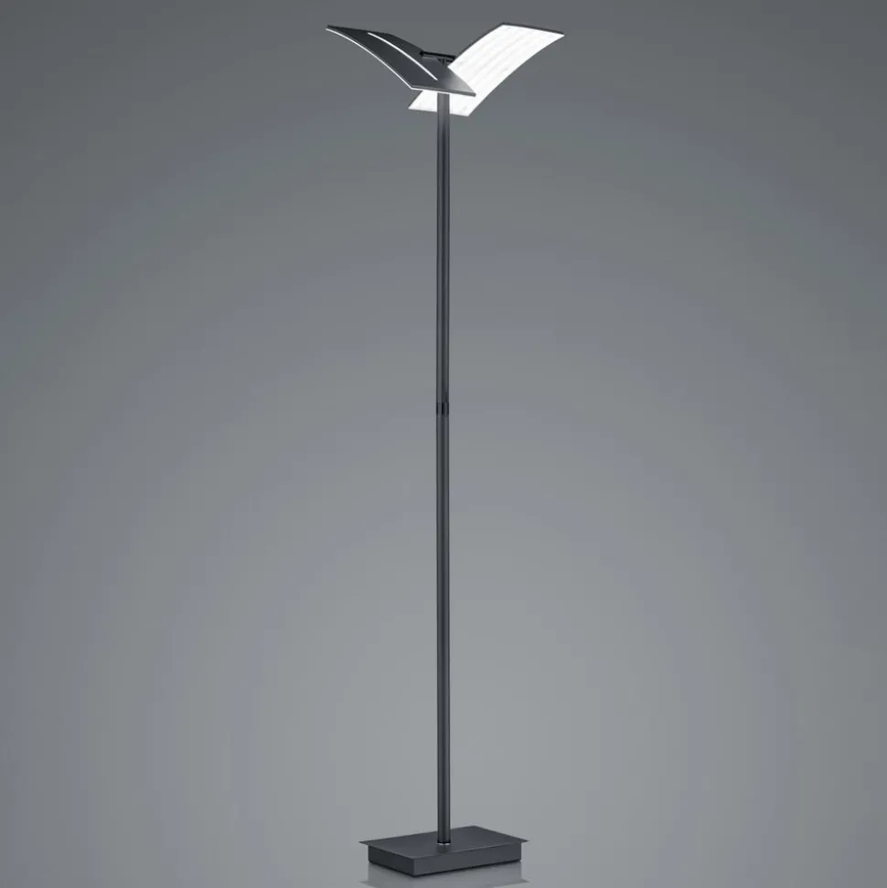 LED vloerlamp Dual CCT, dimbaar, zwart