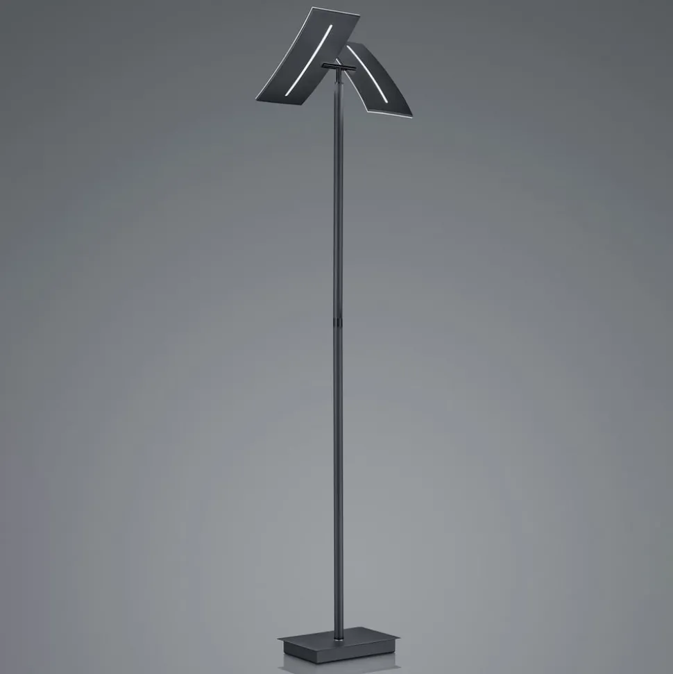 LED vloerlamp Dual CCT, dimbaar, zwart