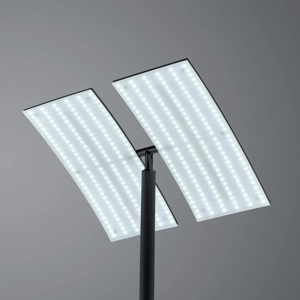 LED vloerlamp Dual CCT, dimbaar, zwart