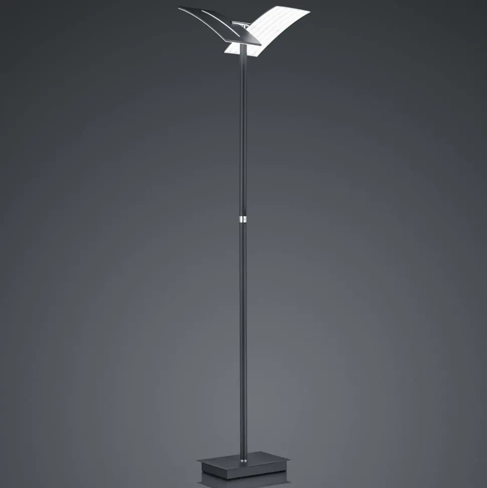 LED vloerlamp Dual CCT, dimbaar, zwart