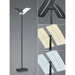 LED vloerlamp Dual CCT, dimbaar, zwart
