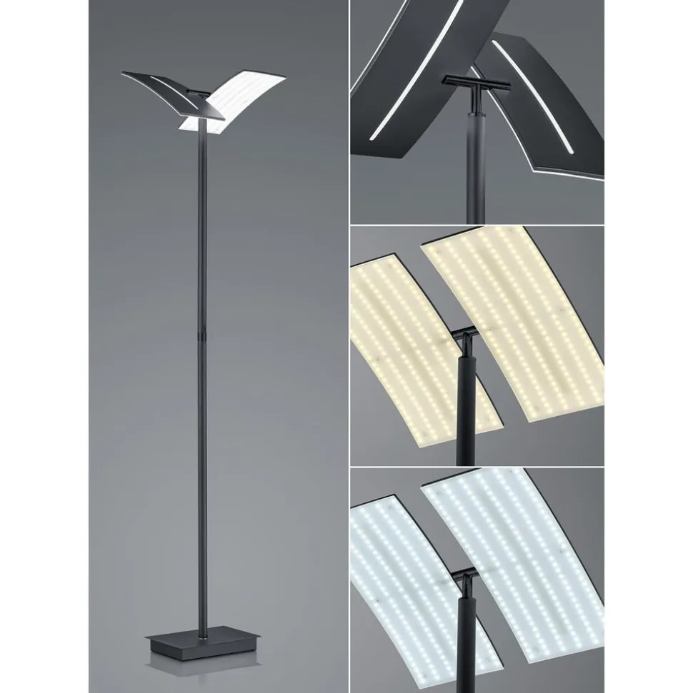 LED vloerlamp Dual CCT, dimbaar, zwart