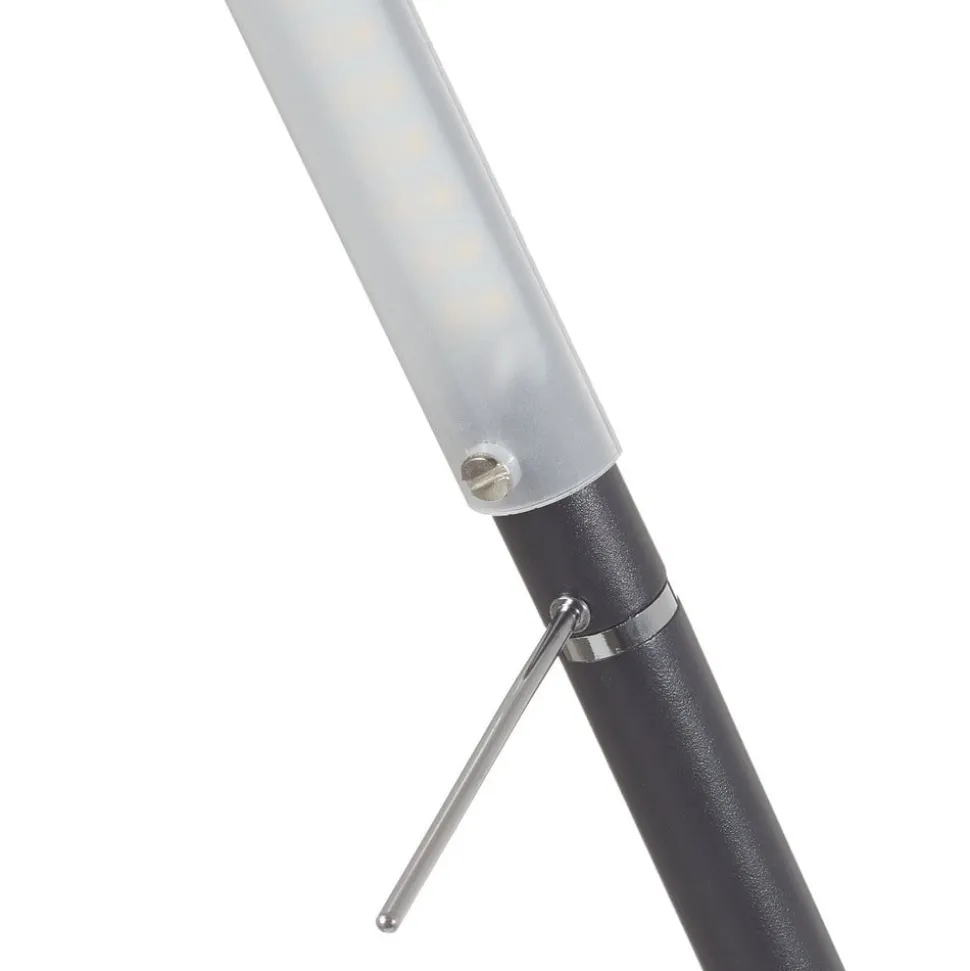 LED vloerlamp Filigran, zwart, dimbaar, verstelbaar