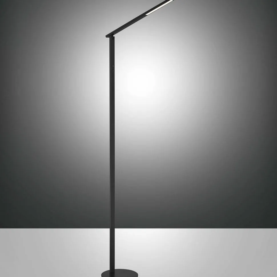 LED vloerlamp Ideal, 1-lamp, CCT, zwart