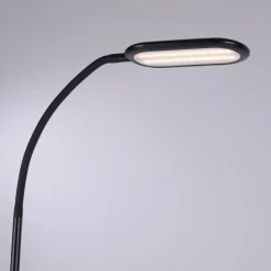 LED vloerlamp Kelly, CCT dimbaar